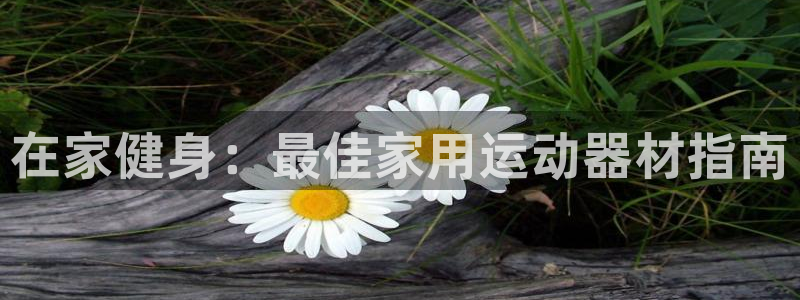德国意昂3集团：在家健身：最佳家用运动器材指南