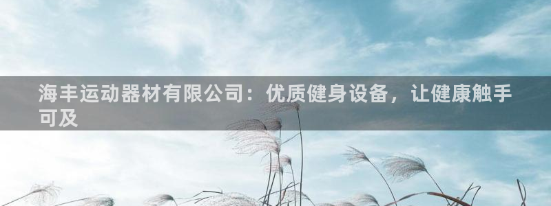 意昂体育3平台假的吗是真的吗吗：海丰运动器材有限公司