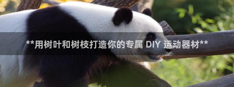 意昂平台体育：**用树叶和树枝打造你的专属 DIY 