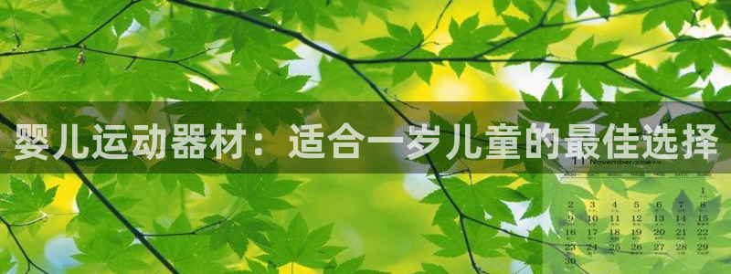 意昂体育3平台注册流程图：婴儿运动器材：适合一岁儿童
