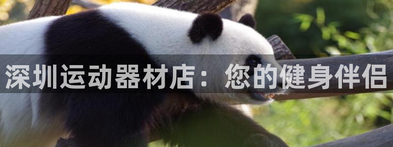意昂体育3平台假的吗是真的吗吗：深圳运动器材店：您的