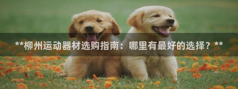 意昂3集团官网网址：**柳州运动器材选购指南：哪里有