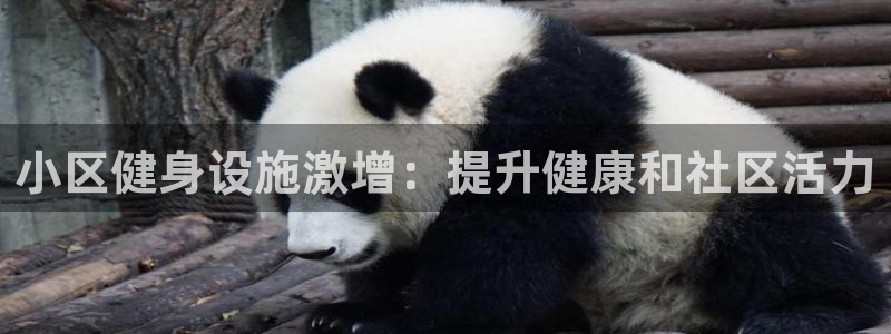 意昂集团官网：小区健身设施激增：提升健康和社区活力