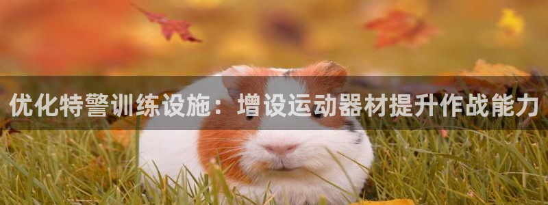 海南意昂体育3发展怎么样：优化特警训练设施：增设运动