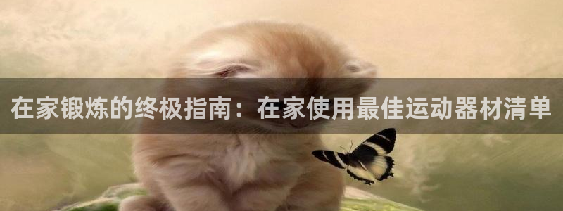 意昂体育3平台是正规平台吗安全吗：在家锻炼的终极指南