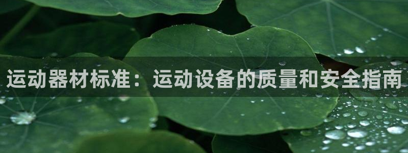 意昂体育3招商电话：运动器材标准：运动设备的质量和安