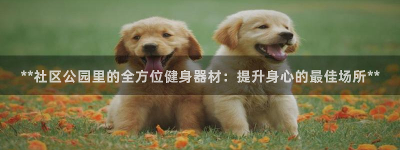 意昂体育3软件：**社区公园里的全方位健身器材：提升
