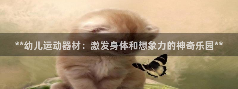 意昂体育3招商：**幼儿运动器材：激发身体和想象力的
