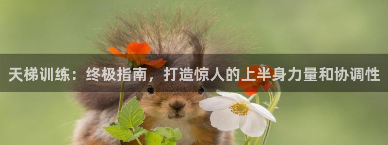 意昂3集团E.ON：天梯训练：终极指南，打造惊人的上