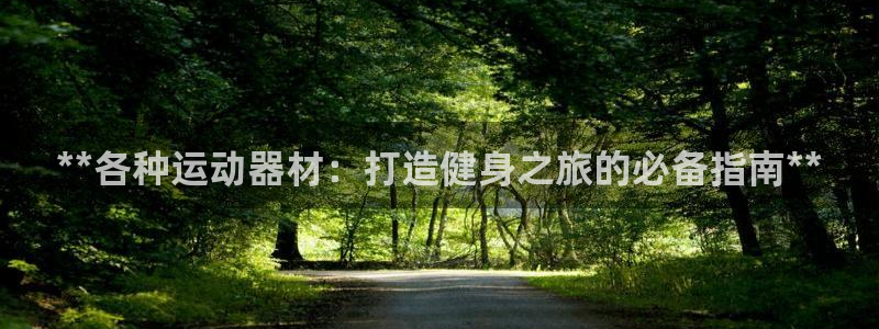意昂3娱乐：**各种运动器材：打造健身之旅的必备指南