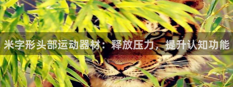 意昂3娱乐网站：米字形头部运动器材：释放压力，提升认