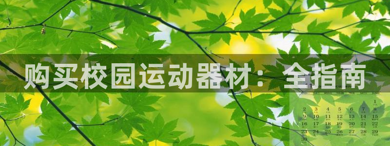 意昂体育3平台是正规平台吗安全吗：购买校园运动器材：全指南