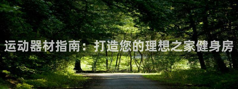 意昂3娱乐下载：运动器材指南：打造您的理想之家健身房