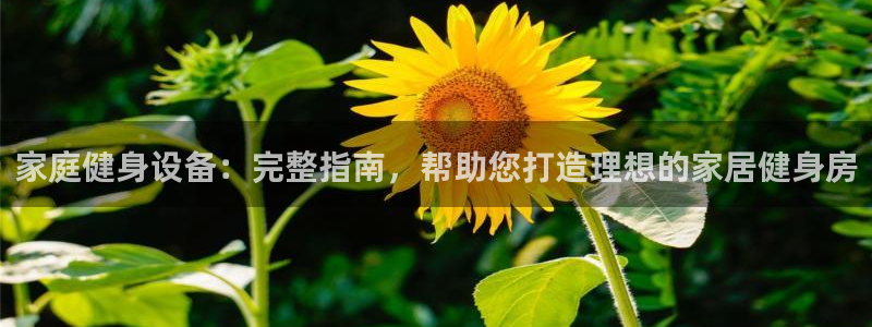意昂平台体育：家庭健身设备：完整指南，帮助您打造理想
