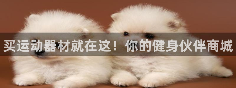 海南意昂体育3：买运动器材就在这！你的健身伙伴商城