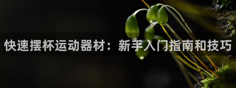 意昂体育3平台注册要钱吗是真的吗：快速摆杯运动器材：