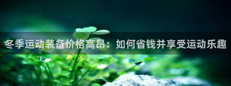 意昂体育3注册：冬季运动装备价格高昂：如何省钱并享受