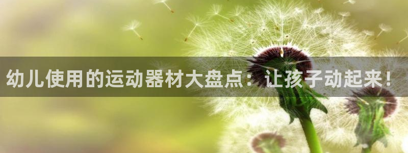 意昂体育3招商电话：幼儿使用的运动器材大盘点：让孩子