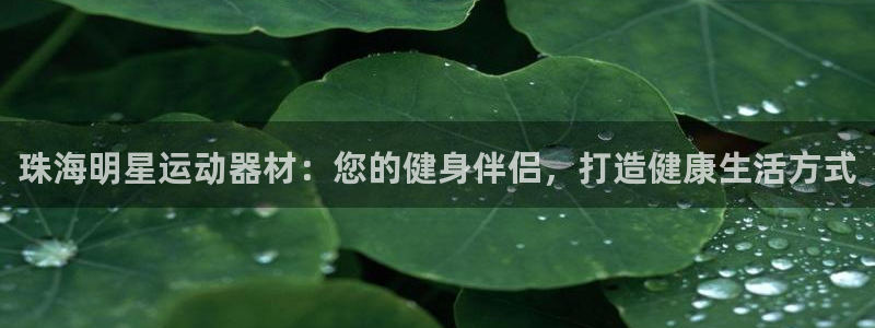 意昂3集团：珠海明星运动器材：您的健身伴侣，打造健康