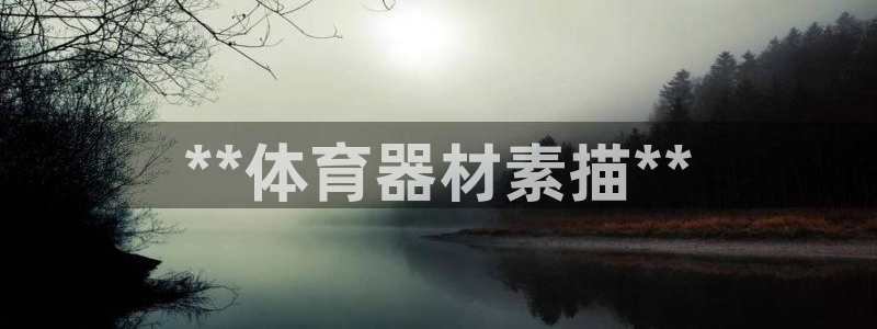意昂体育3招商电话号码是多少：**体育器材素描**
