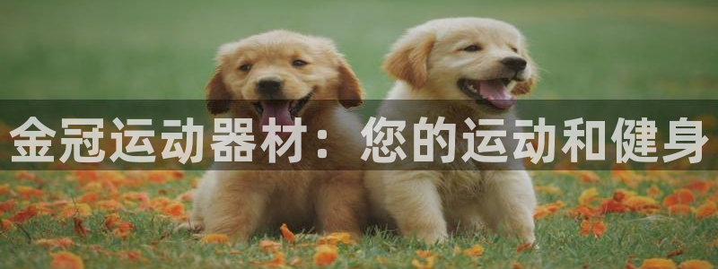 意昂体育3平台是正规平台吗：金冠运动器材：您的运动和