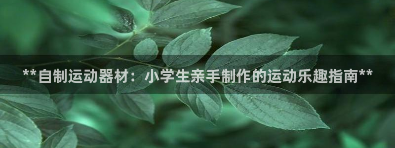 意昂体育3招商：**自制运动器材：小学生亲手制作的运