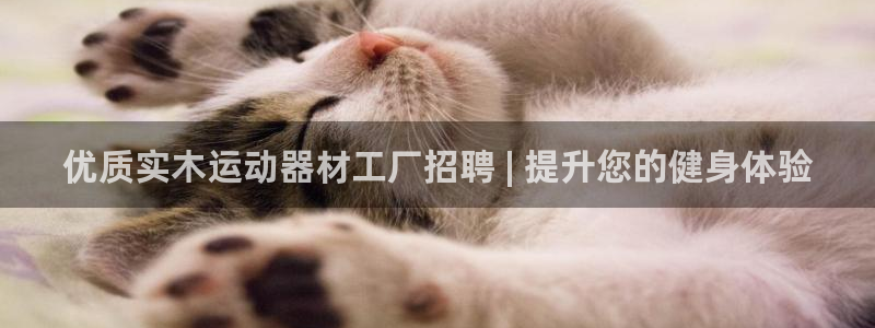 意昂3新能源：优质实木运动器材工厂招聘 | 提升您的
