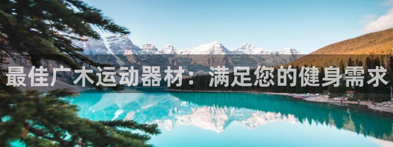 意昂3娱乐下载：最佳广木运动器材：满足您的健身需求