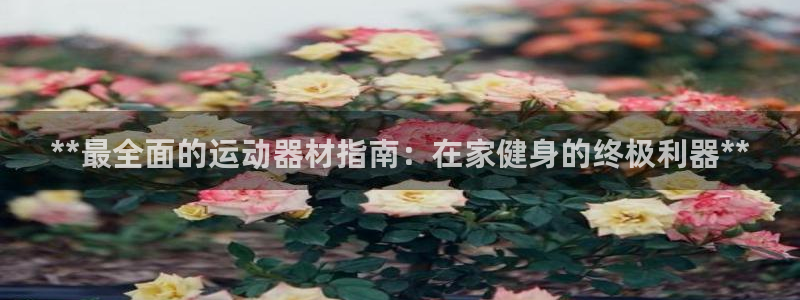 意昂体育3软件：**最全面的运动器材指南：在家健身的