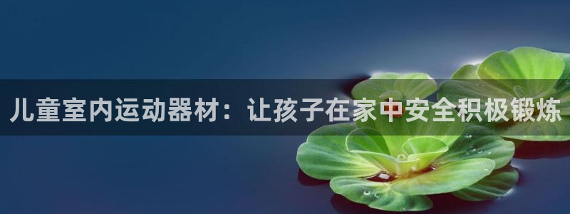 意昂体育3平台注册要钱吗安全吗：儿童室内运动器材：让