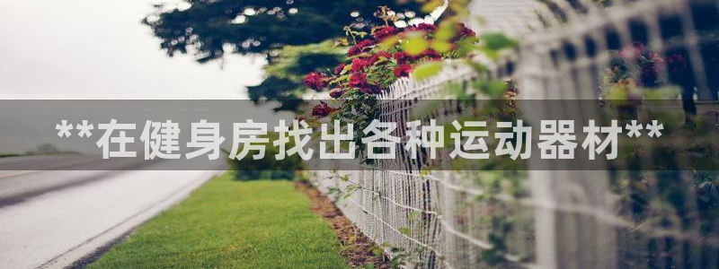 意昂平台体育：**在健身房找出各种运动器材**