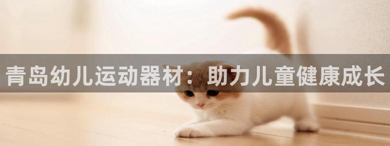 意昂3集团：青岛幼儿运动器材：助力儿童健康成长