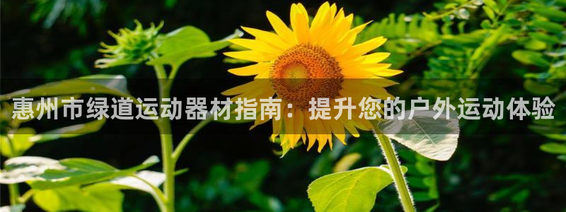 意昂体育3招商电话地址是多少：惠州市绿道运动器材指南