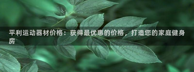 意昂平台体育：平利运动器材价格：获得最优惠的价格，打