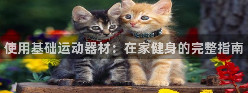 意昂体育3注册：使用基础运动器材：在家健身的完整指南