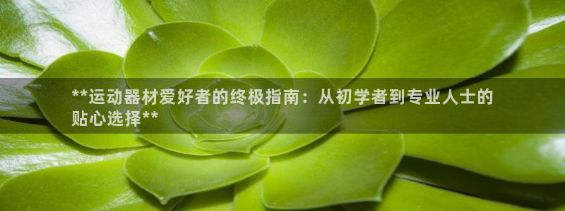意昂体育3是干嘛的公司：**运动器材爱好者的终极指南