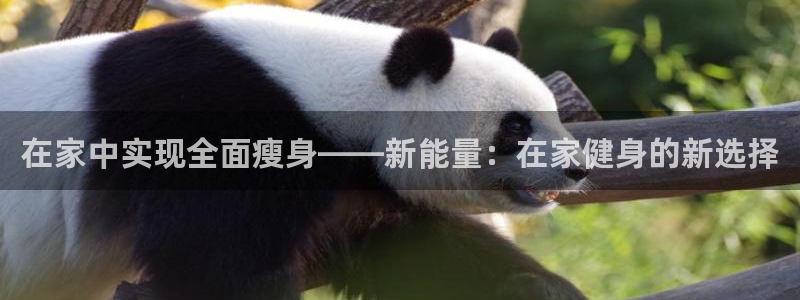 意昂3娱乐首页网站大全