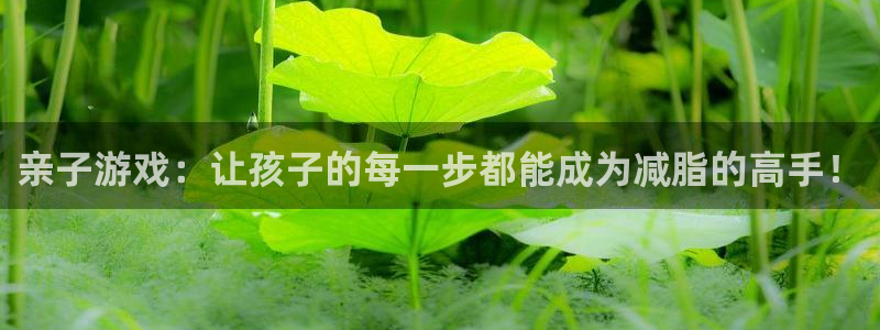意昂体育3开户