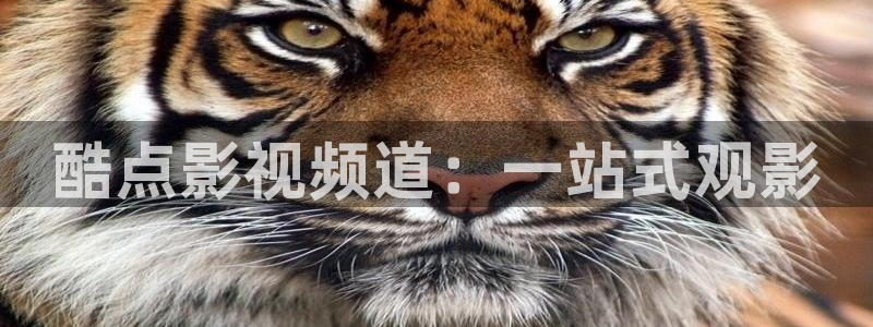 青青视频免费在线观看：酷点影视频道：一站式观影