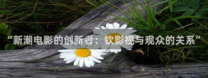 青青免费观看视频：“新潮电影的创新者：钦影视与观众的关系”