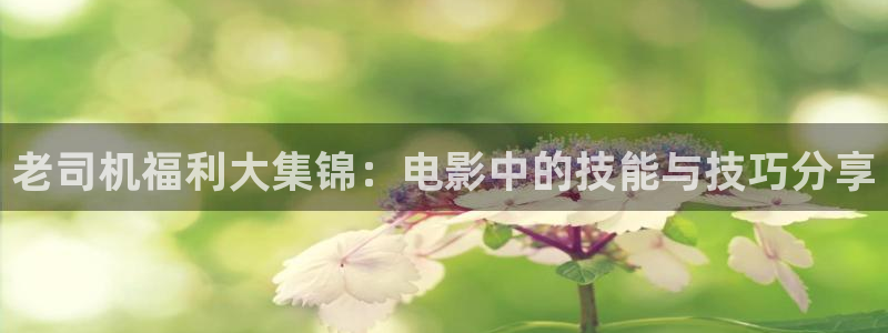 青青草原免费看：老司机福利大集锦：电影中的技能与技巧分享